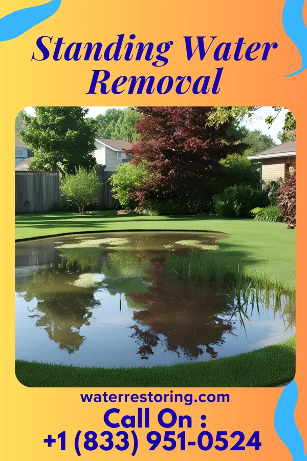 Standing Water Removal in Blakesburg, IA